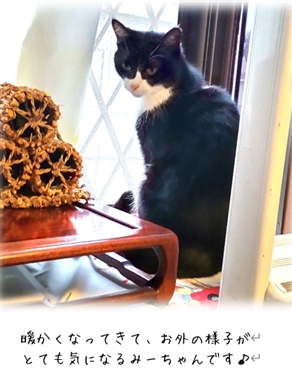 �ؓ�������l�͓��ɔM���ǒ��ӁI