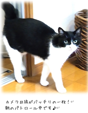 ����I���S�Œ������C�ɁI