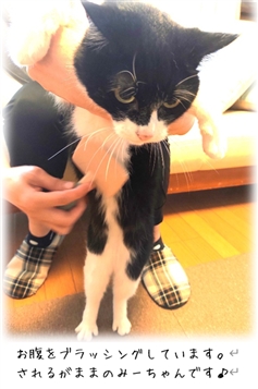 �������͕a�C�ł͂Ȃ�