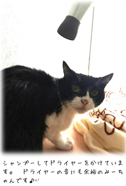 �V�闬���Ö@�Ƃ�