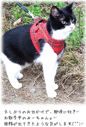 ���b�זE�͑�����I�H