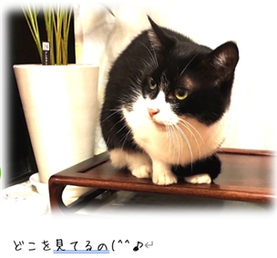 �^��������������ށI