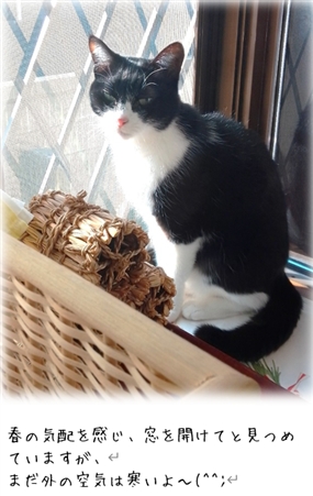 �𚐁i�����Ⴍ�j�̏d�v��