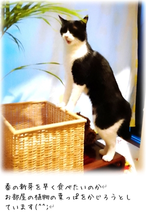 �͕̂s�v�c�Ȃقǌq�����Ă���