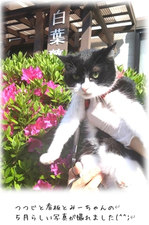 �ǎ��ȉ�����������Ɛۂ�