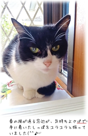 ��̑΍�܂Ƃߓ��W