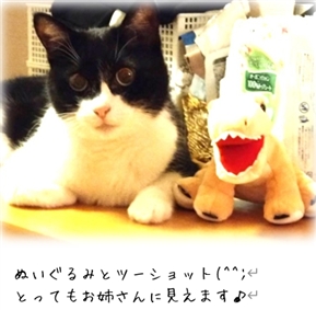 ���t�B�Ɛ卜�̊֌W