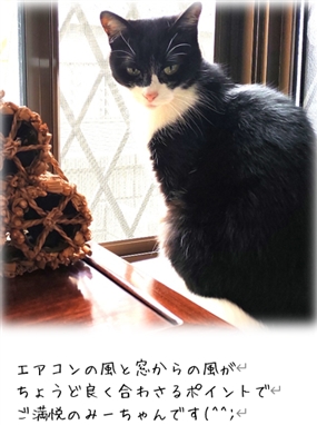 �r�̕t�����A���̕t����