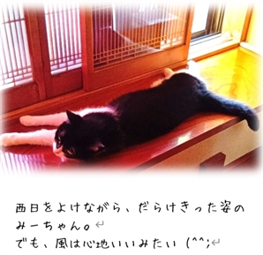 ���A�a���P�͂�����������