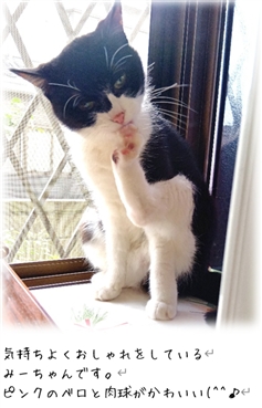 ������A�Γ���̉��P���@