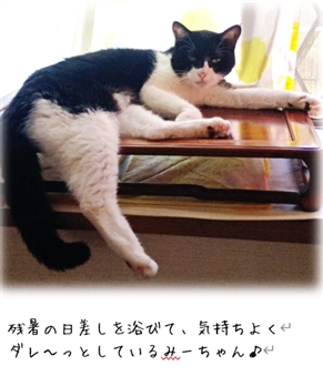 ���ɂ̑Ώ��@