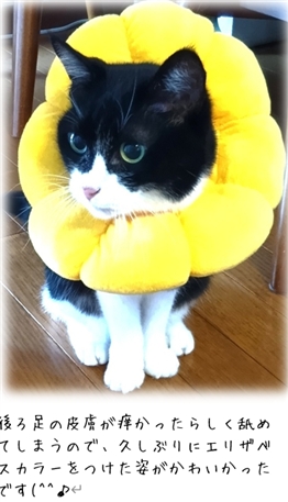 �я��v�]�Ƒ��g�@