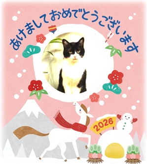 �w�̒ɂ݂ƌ��߂̉��P