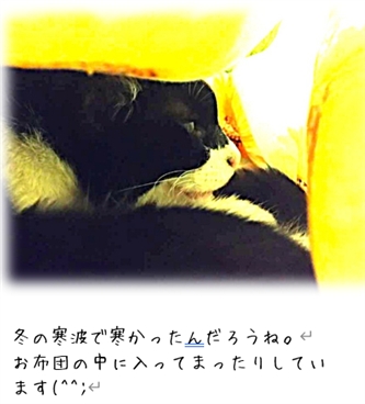 �����̎��b�𗎂Ƃ�