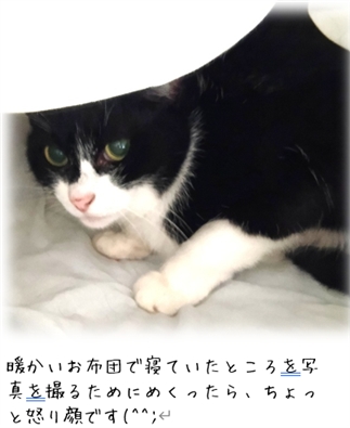 �e���̎��b�𗎂Ƃ�