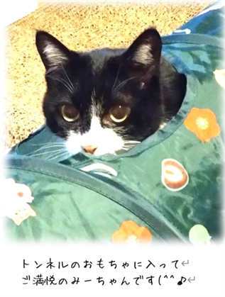 ����ɂ��鐮�́i���̂P�j