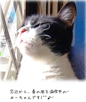 ����ɂ��鐮�́i���̂Q�j
